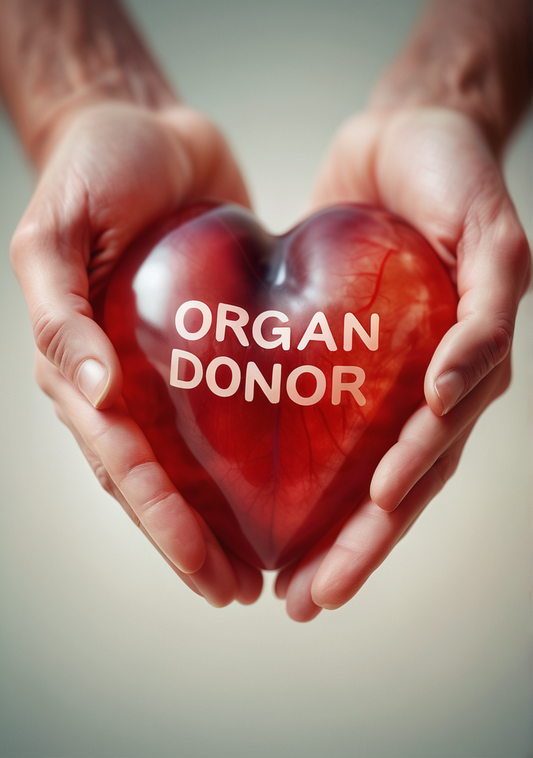 What Is Organ Donation?